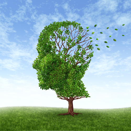 image d'un arbre en forme de tête humaine pour illustrer l'article sur comment améliorer sa mémoire naturellement