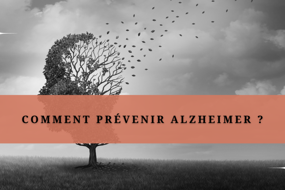 Illustration d'un arbre représentant une tête dont les feuilles s'envolent tels les souvenirs pour illustrer l'article "Comment prévenir Alzheimer"